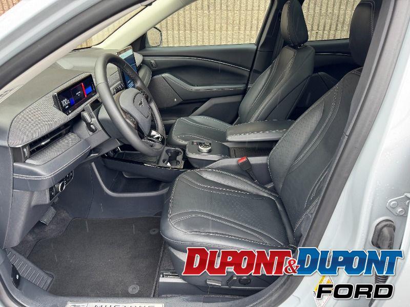 Ford Mustang Mach-e 19