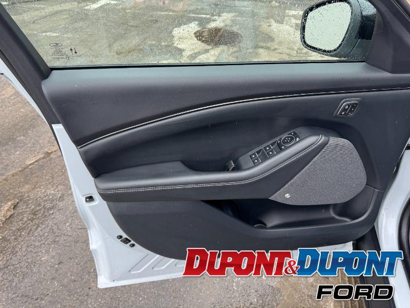 Ford Mustang Mach-e 20