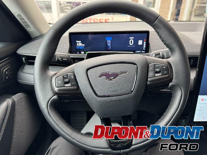 Ford Mustang Mach-e 30