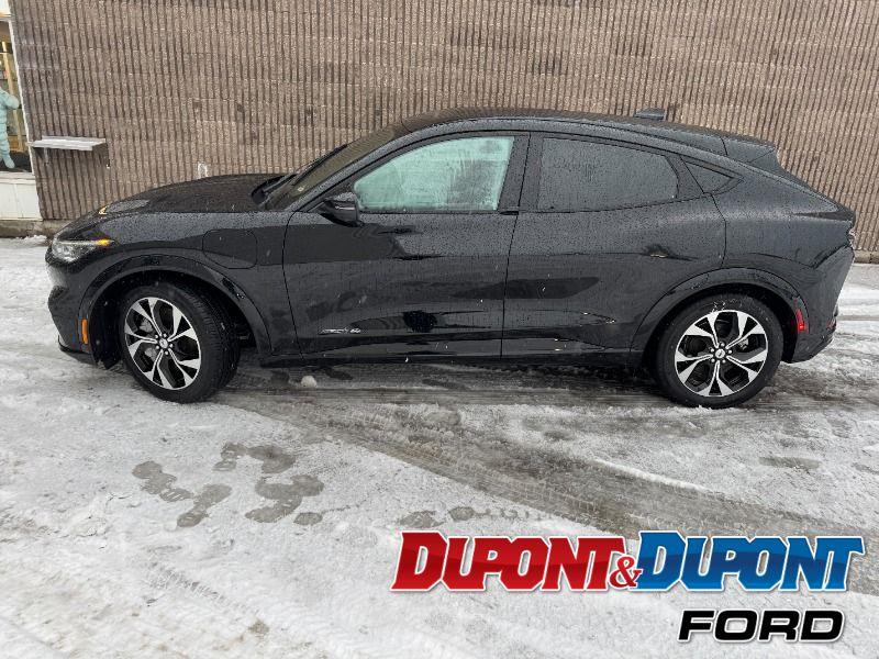 Ford Mustang Mach-e 2