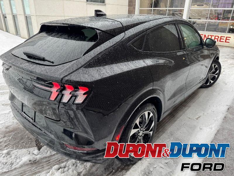 Ford Mustang Mach-e 5