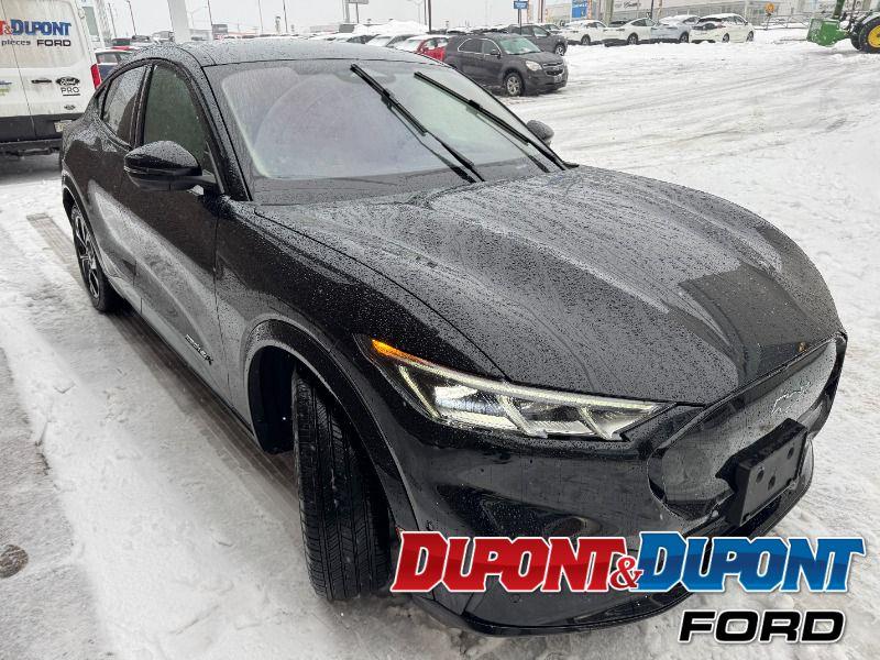 Ford Mustang Mach-e 6