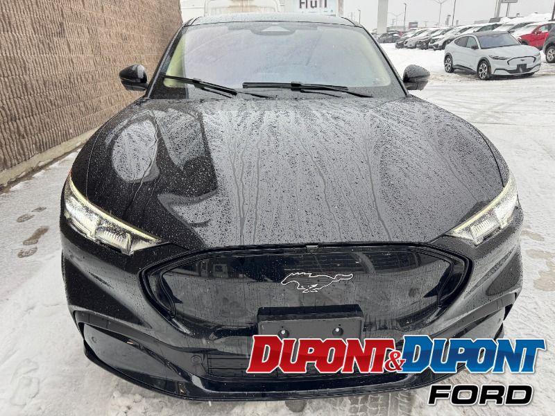 Ford Mustang Mach-e 7