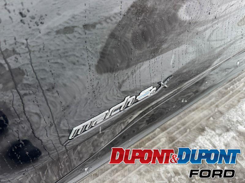 Ford Mustang Mach-e 10