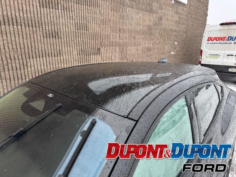 Ford Mustang Mach-e 12