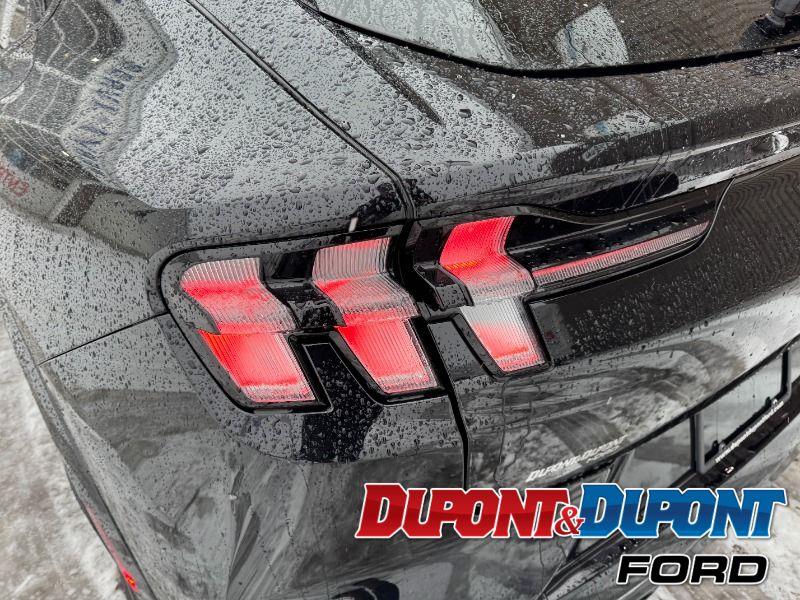 Ford Mustang Mach-e 13