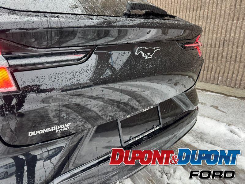 Ford Mustang Mach-e 14