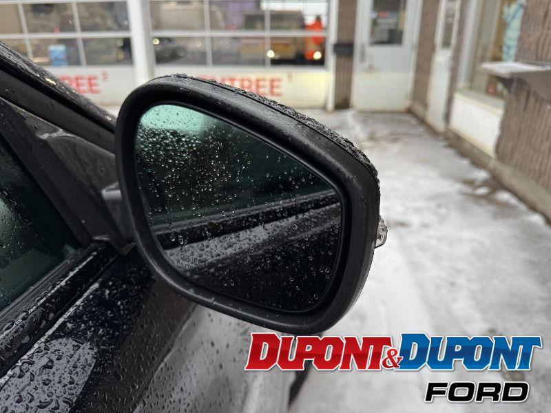 Ford Mustang Mach-e 15