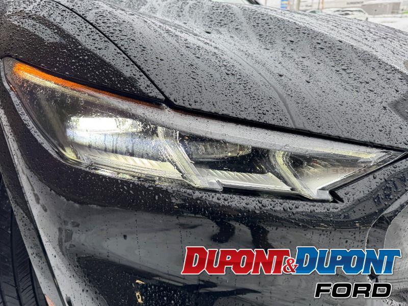 Ford Mustang Mach-e 16