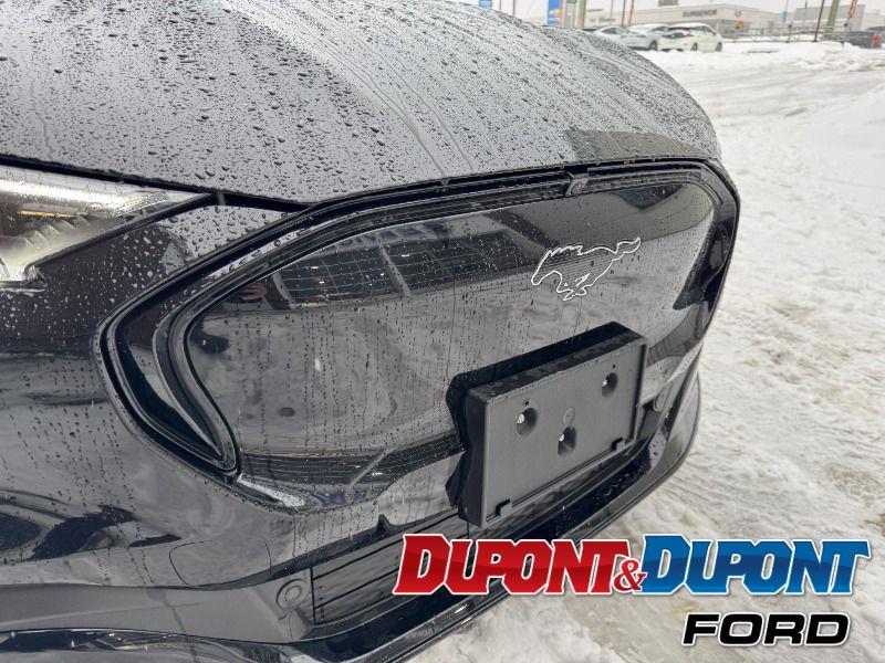 Ford Mustang Mach-e 17