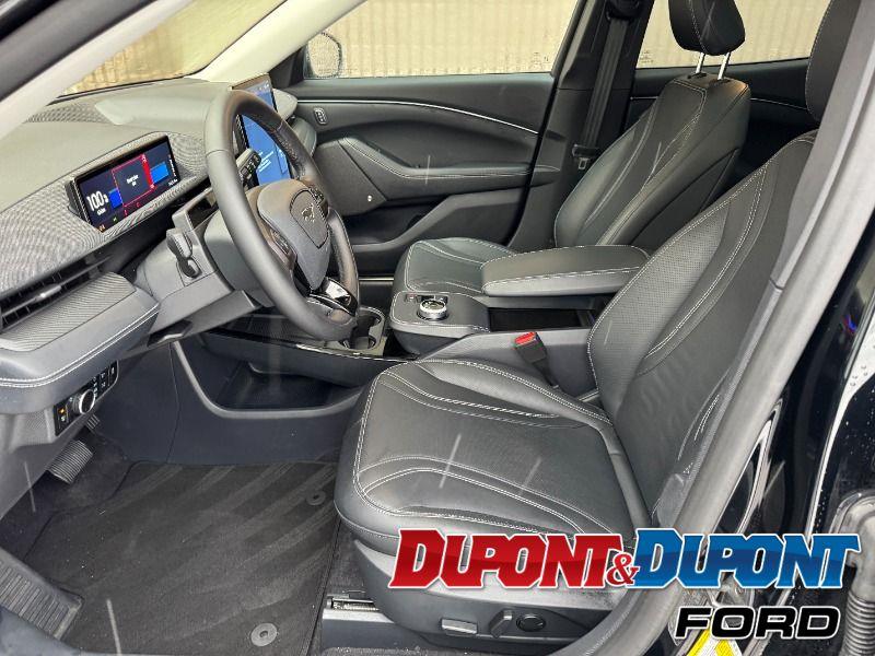 Ford Mustang Mach-e 19