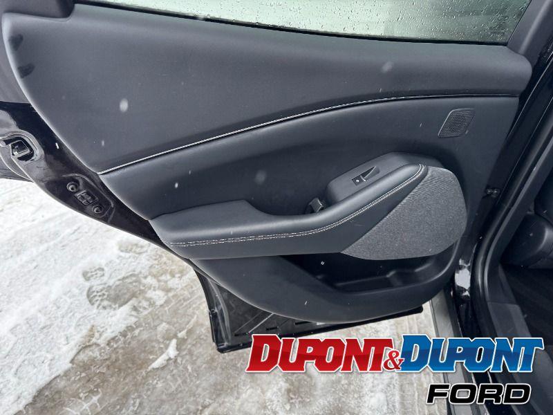 Ford Mustang Mach-e 20