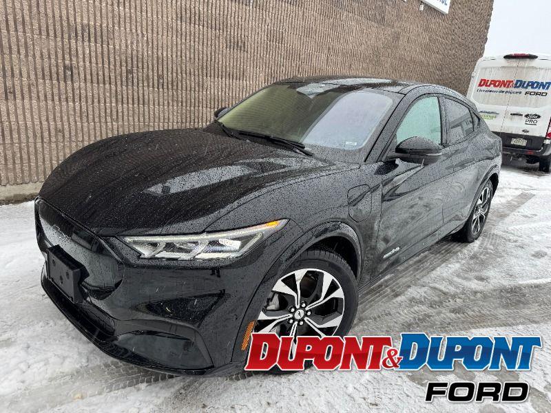 Ford Mustang Mach-e 24