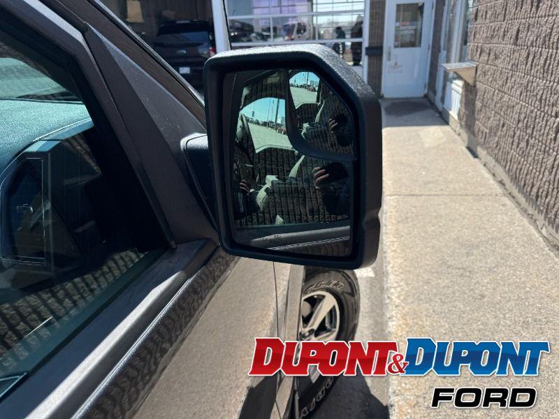 Ford F-150 15