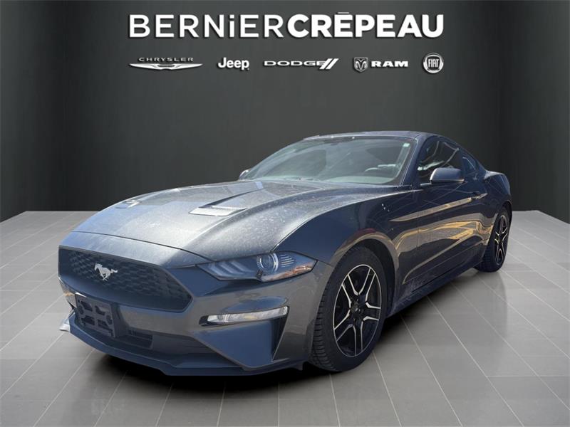 2019 Ford Mustang