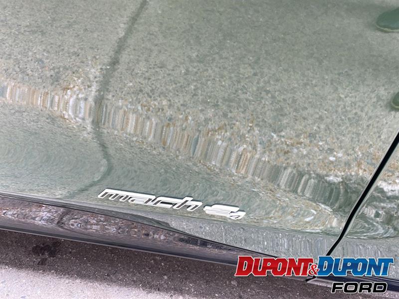 Ford Mustang Mach-e 8