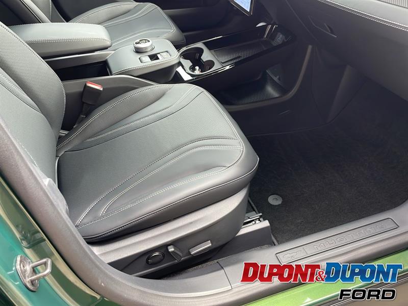 Ford Mustang Mach-e 9