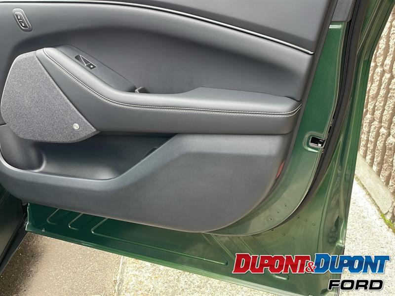 Ford Mustang Mach-e 10