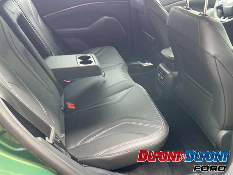 Ford Mustang Mach-e 11