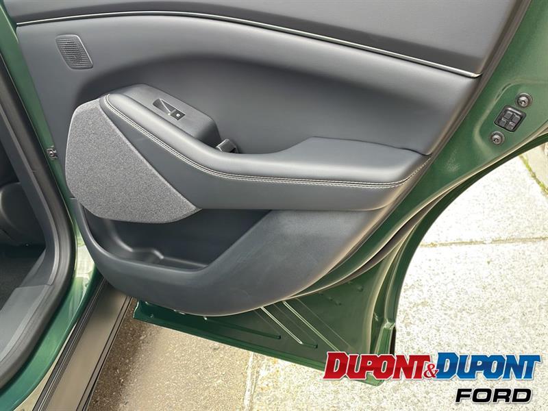 Ford Mustang Mach-e 12