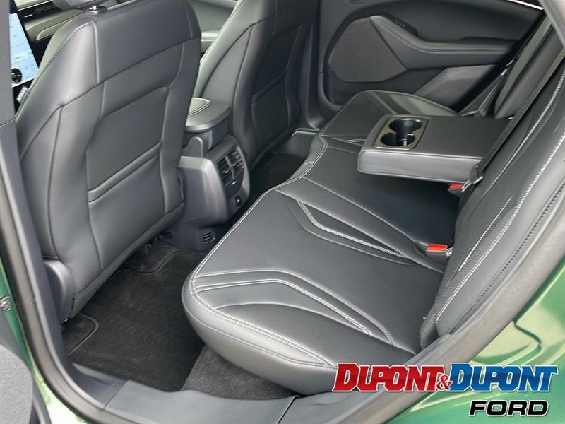 Ford Mustang Mach-e 14