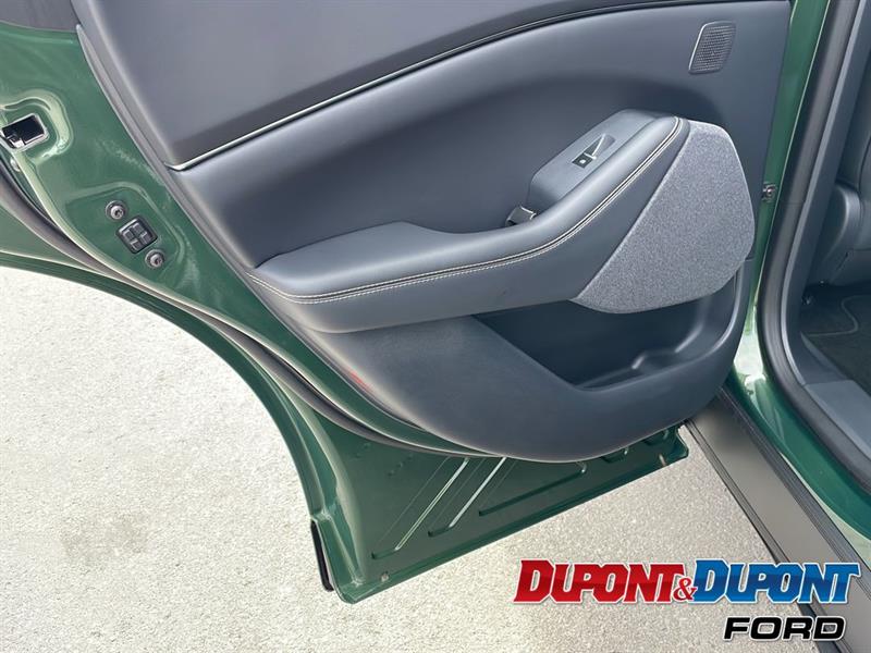 Ford Mustang Mach-e 15