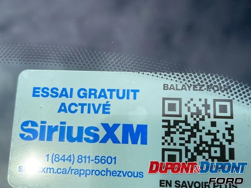 Ford Mustang Mach-e 16