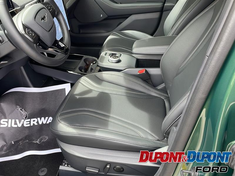 Ford Mustang Mach-e 17