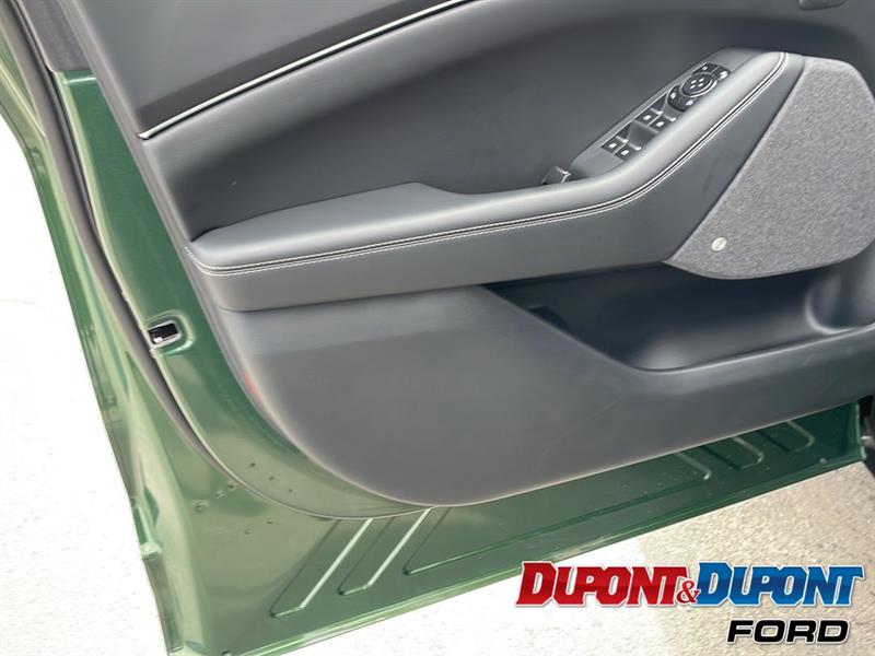 Ford Mustang Mach-e 18