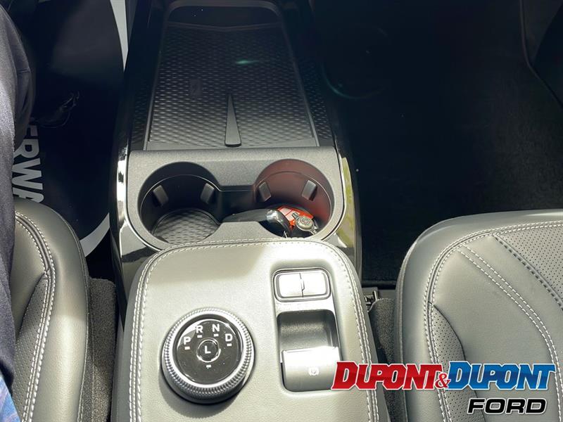 Ford Mustang Mach-e 22