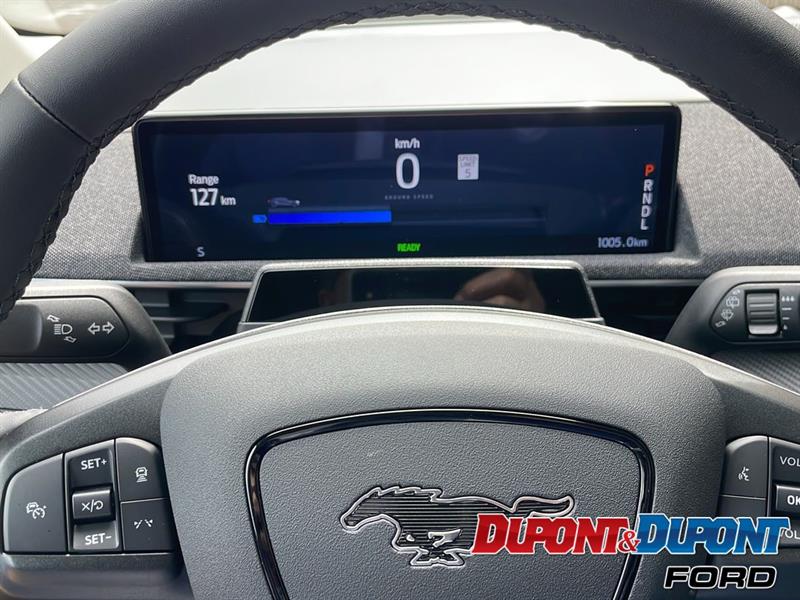 Ford Mustang Mach-e 23