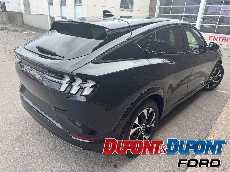 Ford Mustang Mach-e 5