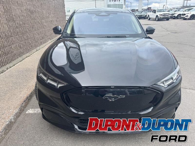 Ford Mustang Mach-e 7