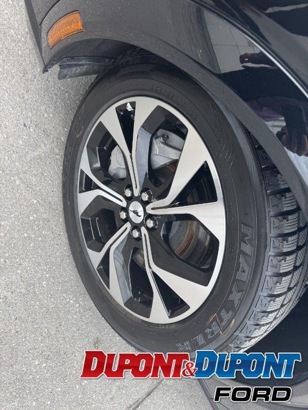 Ford Mustang Mach-e 8