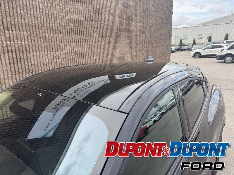 Ford Mustang Mach-e 12