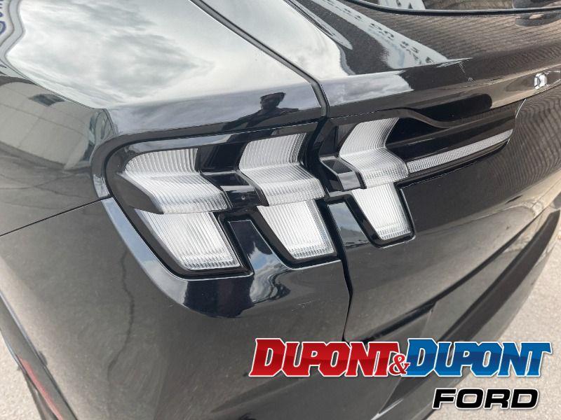 Ford Mustang Mach-e 13