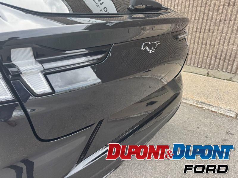 Ford Mustang Mach-e 14