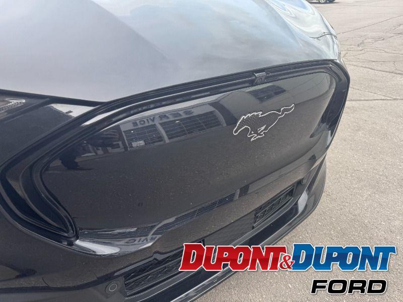 Ford Mustang Mach-e 17