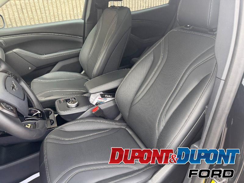 Ford Mustang Mach-e 19