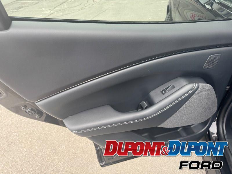 Ford Mustang Mach-e 20