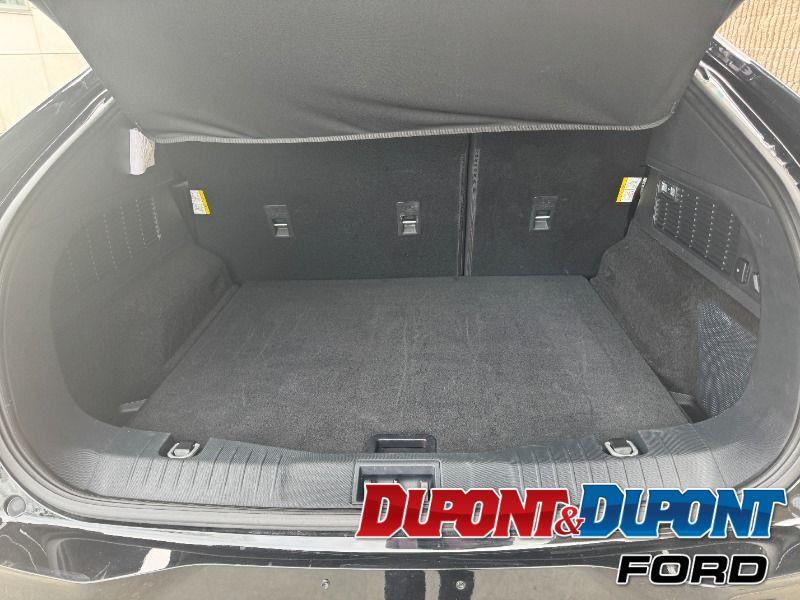 Ford Mustang Mach-e 22