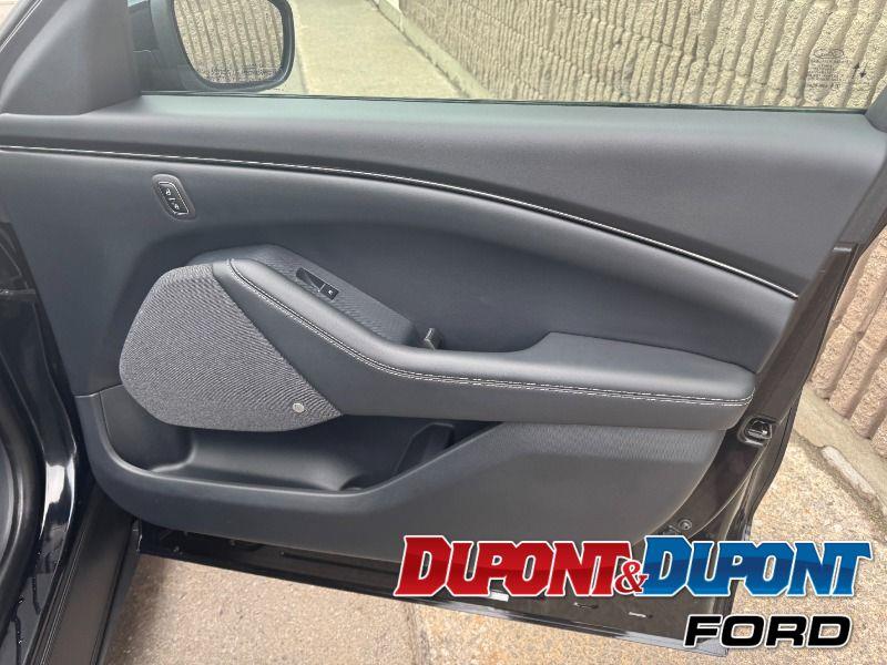 Ford Mustang Mach-e 25