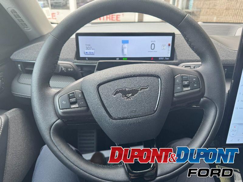 Ford Mustang Mach-e 29