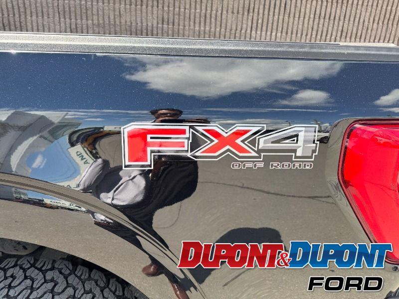 Ford F-150 13