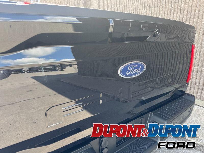 Ford F-150 15