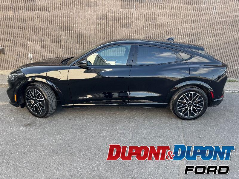 Ford Mustang Mach-e 3