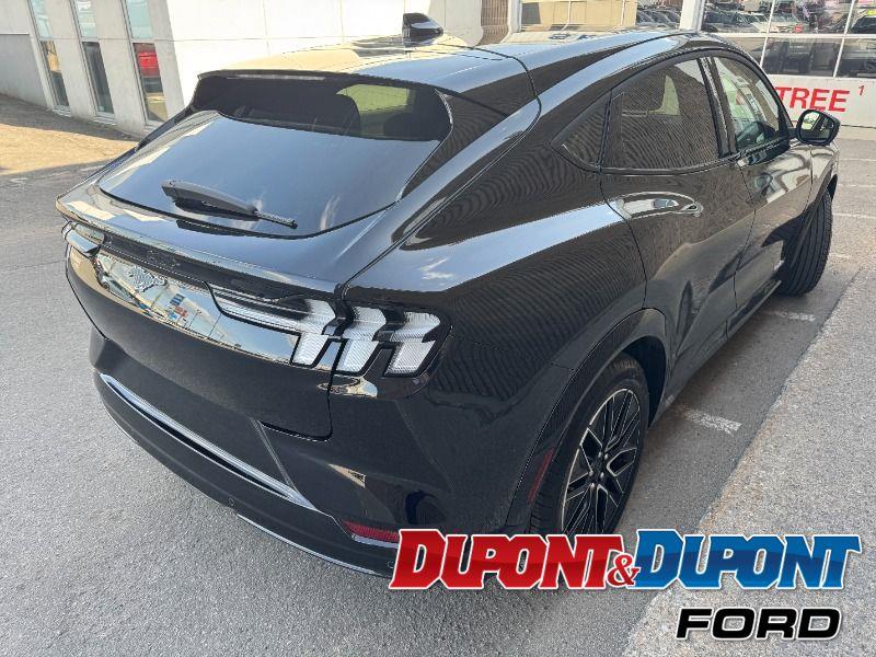 Ford Mustang Mach-e 5