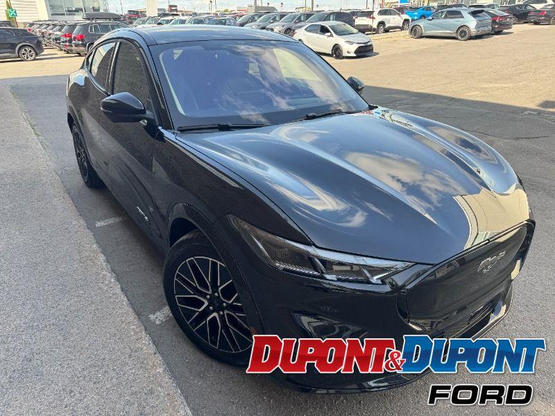 Ford Mustang Mach-e 6