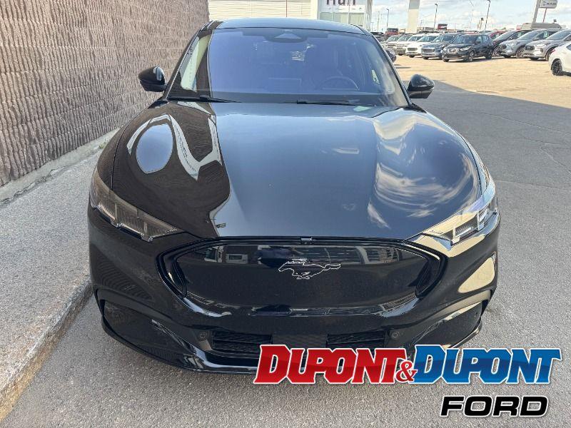 Ford Mustang Mach-e 7