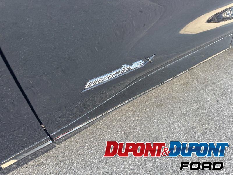 Ford Mustang Mach-e 10